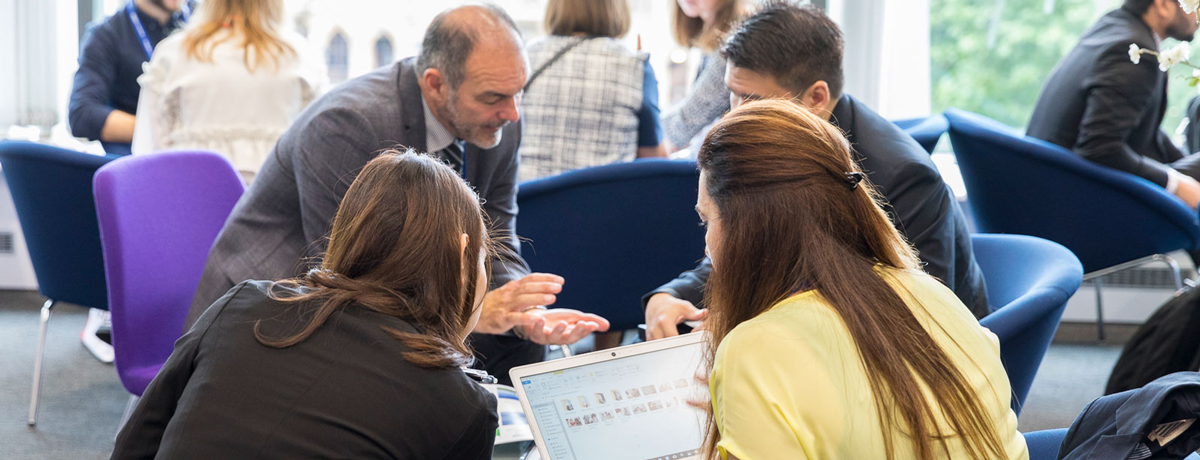 StudyWorld Educator Experience: Small Business